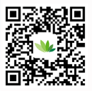 金笛短信公众号